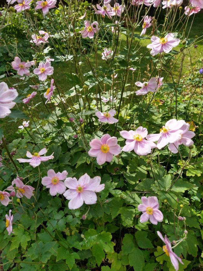 Kirton in Lindsey Garden Room מראה חיצוני תמונה